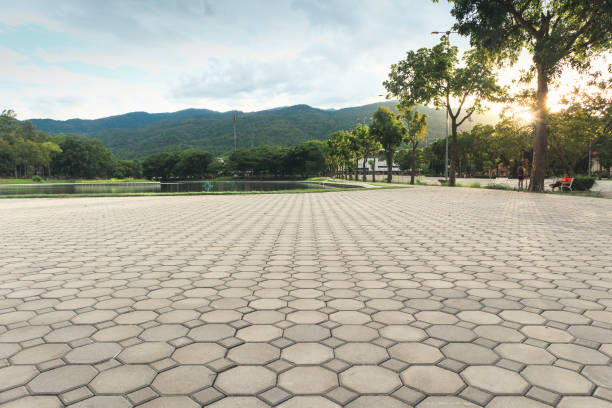 Professional Driveway Pavers in Centerville, CA